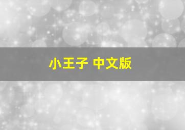 小王子 中文版